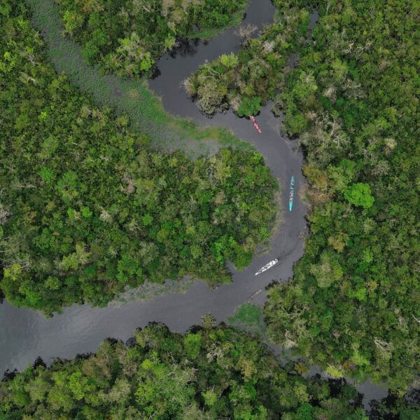 Descubre la esencia del Guaviare tras la puerta de Orión, el arte en Cerro Azul y los maravillos pozos naturales - Imagen 10