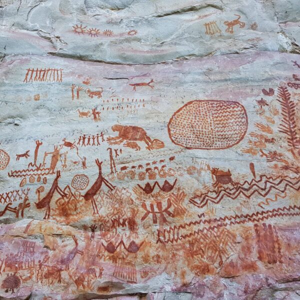 Descubre la esencia del Guaviare tras la puerta de Orión, el arte en Cerro Azul y los maravillos pozos naturales - Imagen 8