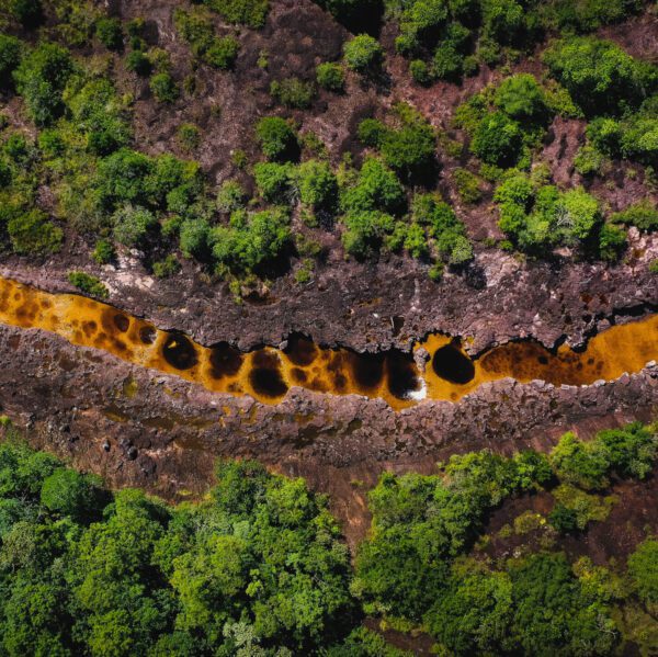 Descubre la esencia del Guaviare tras la puerta de Orión, el arte en Cerro Azul y los maravillos pozos naturales - Imagen 9